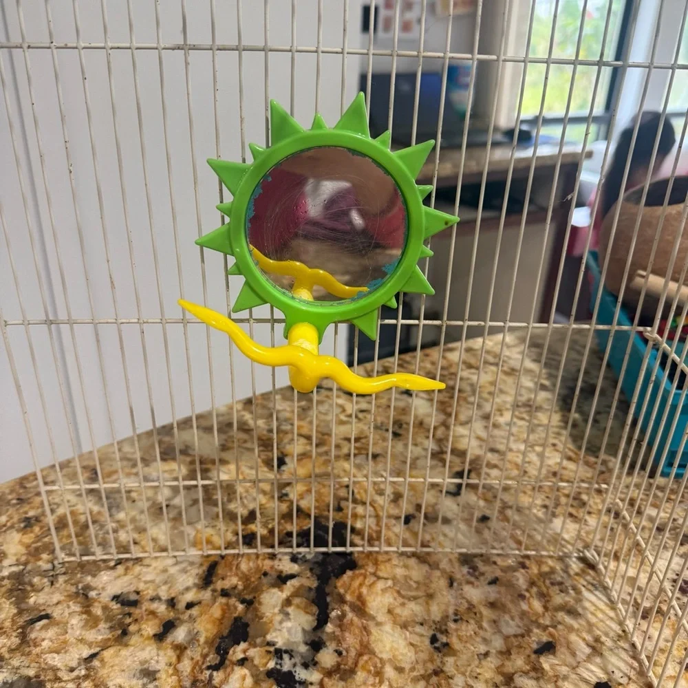 Vibrant Hanging Bird Toy Set with Bells